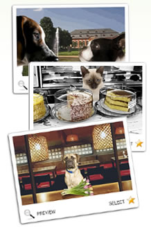 ecards