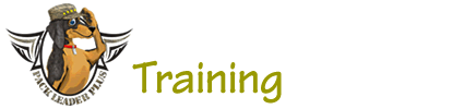 Training